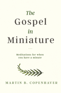 Omslagafbeelding: The Gospel in Miniature 1st edition 9781683367192