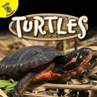 Cover image: Turtles 9781683421993