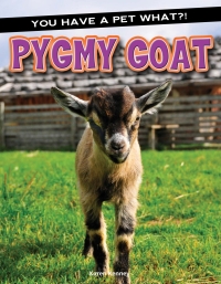 表紙画像: Pygmy Goat 9781683421771