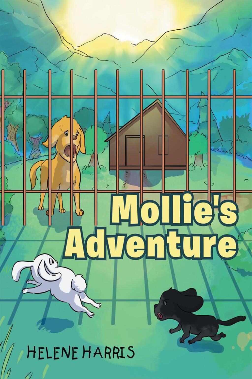 ISBN 9781683486992 product image for Mollie's Adventure (eBook) | upcitemdb.com