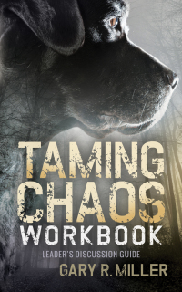 Cover image: Taming Chaos Workbook 9781683501558