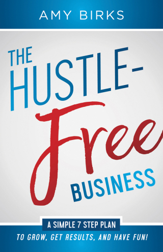 Imagen de portada: The Hustle-Free Business 9781683504221
