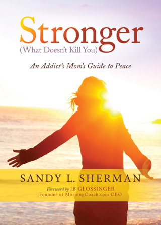 صورة الغلاف: Stronger (What Doesn't Kill You) 9781683504788