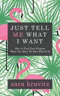 Cover image: Just Tell Me What I Want 9781683504900
