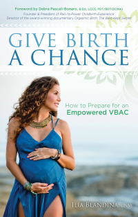 Immagine di copertina: Give Birth a Chance 9781683505198