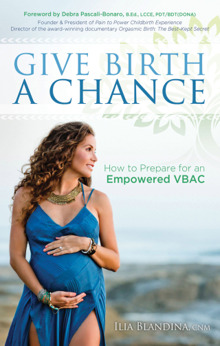 Imagen de portada: Give Birth a Chance 9781683505198