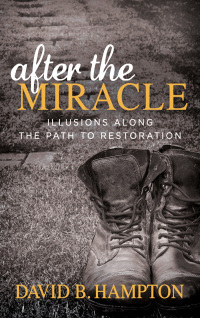 Cover image: After the Miracle 9781683505778