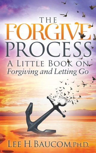 Cover image: The Forgive Process 9781683508977