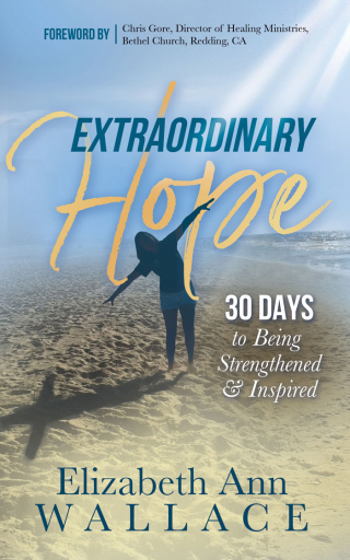 Imagen de portada: Extraordinary Hope 9781683509417