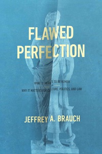 Cover image: Flawed Perfection 9781683590248