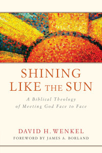 Imagen de portada: Shining Like the Sun 9781683591665