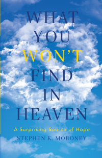 Imagen de portada: What You WON'T Find in Heaven 9781683591900