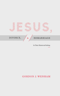 Imagen de portada: Jesus, Divorce, and Remarriage 9781683593287
