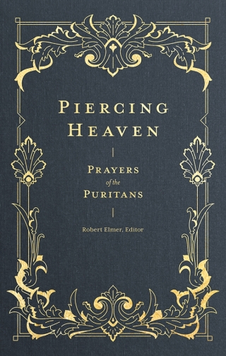 Cover image: Piercing Heaven 9781683593355
