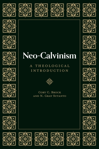 表紙画像: Neo-Calvinism 9781683596479
