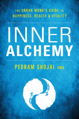Cover image: Inner Alchemy 9781683641674
