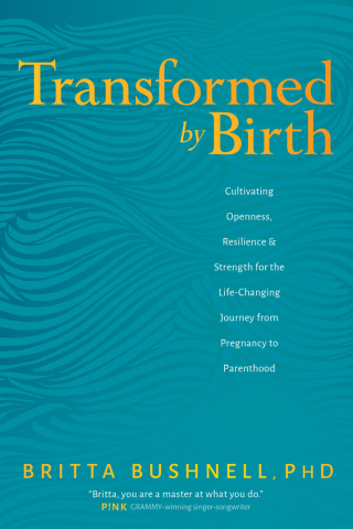 Cover image: Transformed by Birth 9781683644064