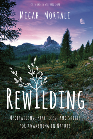 Cover image: Rewilding 9781683643258