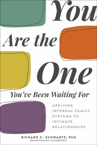 Cover image: You Are the One You've Been Waiting For 9781683643623