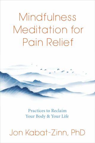 Cover image: Mindfulness Meditation for Pain Relief 9781683649380