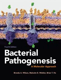 Omslagafbeelding: Bacterial Pathogenesis: A Molecular Approach 4th edition 9781555819408