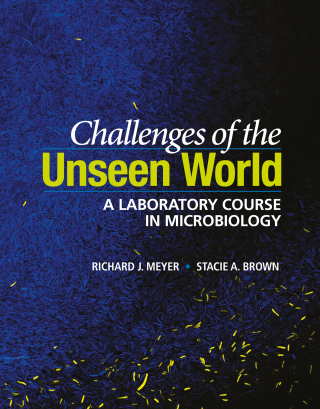 Cover image: Challenges of the Unseen World 1st edition 9781555819927