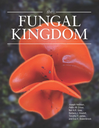 Cover image: The Fungal Kingdom 1st edition 9781555819576