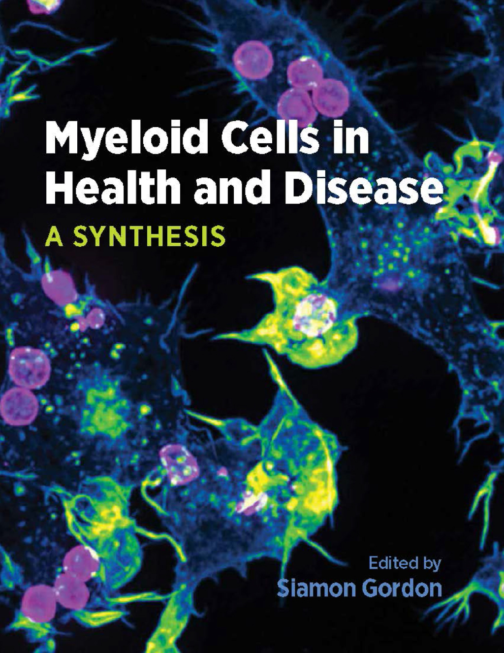 Myeloid Cells in Health and Disease A Synthesis 1st Edition