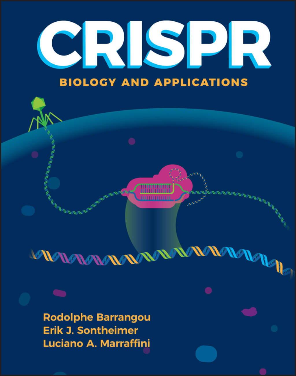 CRISPR Biology and Applications 1st Edition