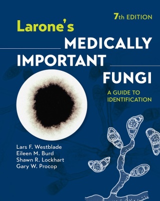 Cover image: Larone's Medically Important Fungi 7th edition 9781683674405