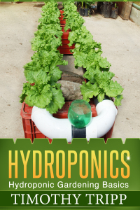 Imagen de portada: Hydroponics