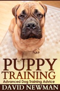 Titelbild: Puppy Training