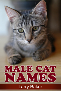 صورة الغلاف: Male Cat Names