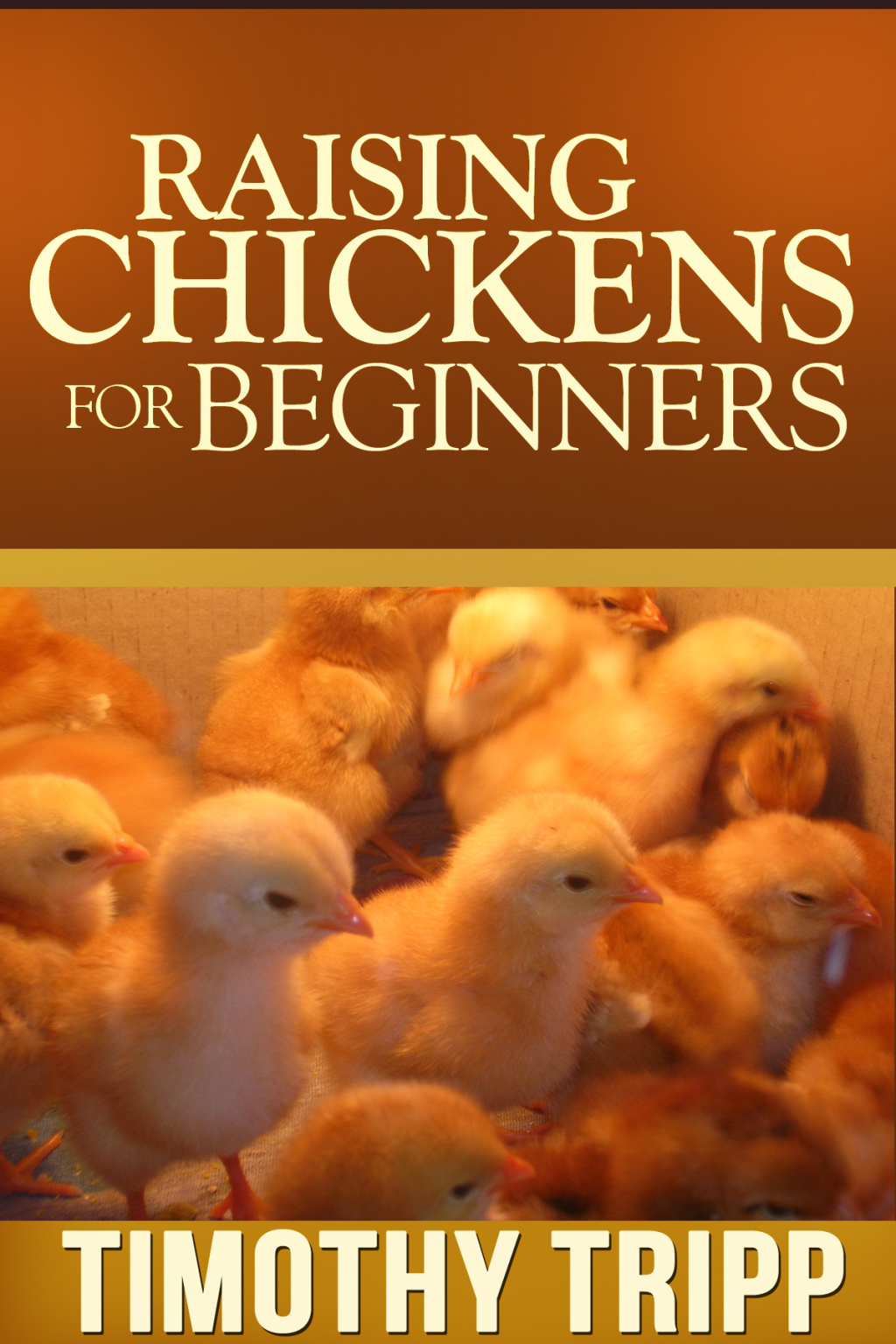Raising Chickens For Beginners