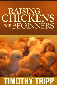 Cover image: Raising Chickens For Beginners