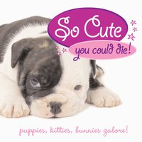 Cover image: So Cute You Could Die! 9781594741500