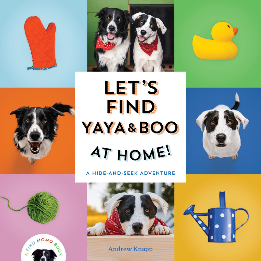 Let’s Find Yaya and Boo at Home! A Hide-and-Seek Adventure