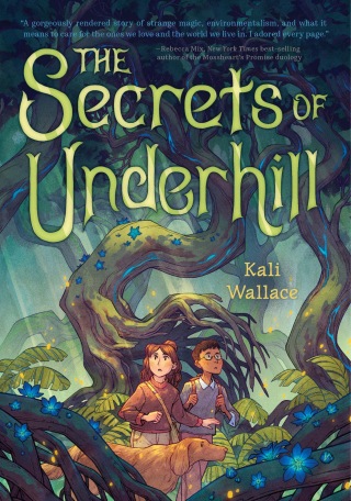 Cover image: The Secrets of Underhill 9781683693888