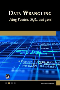 Imagen de portada: Data Wrangling Using Pandas, SQL, and Java 9781683929048