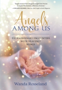 Cover image: Angels Among Us 9781683970514
