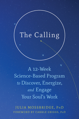 Titelbild: The Calling 9781684031566