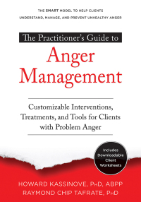 Omslagafbeelding: The Practitioner's Guide to Anger Management 9781684032860