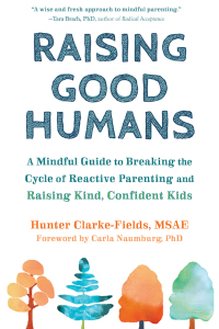 Imagen de portada: Raising Good Humans 9781684033881