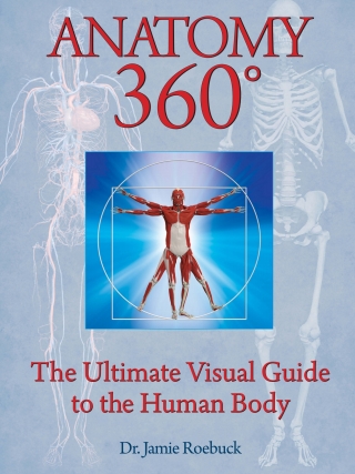 Imagen de portada: Anatomy 360 9781684126286