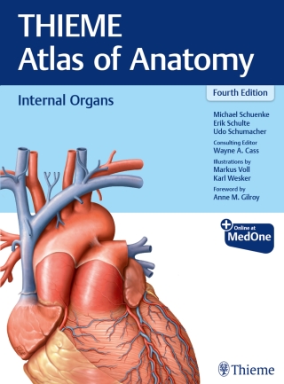 Cover image: Internal Organs (THIEME Atlas of Anatomy) 4th edition 9781684205912