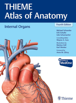 Immagine di copertina: Internal Organs (THIEME Atlas of Anatomy) 4th edition 9781684205912