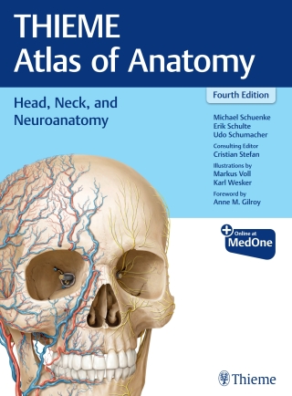 Cover image: Head, Neck, and Neuroanatomy (THIEME Atlas of Anatomy) 4th edition 9781684205943