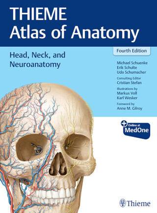 Cover image: Head, Neck, and Neuroanatomy (THIEME Atlas of Anatomy) 4th edition 9781684205943