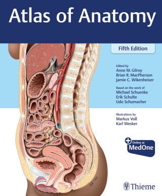 Cover image: Atlas of Anatomy 5th edition 9781684206650