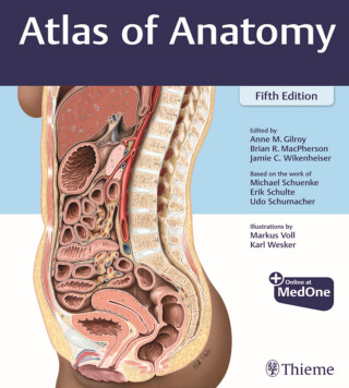 Cover image: Atlas of Anatomy 5th edition 9781684206650